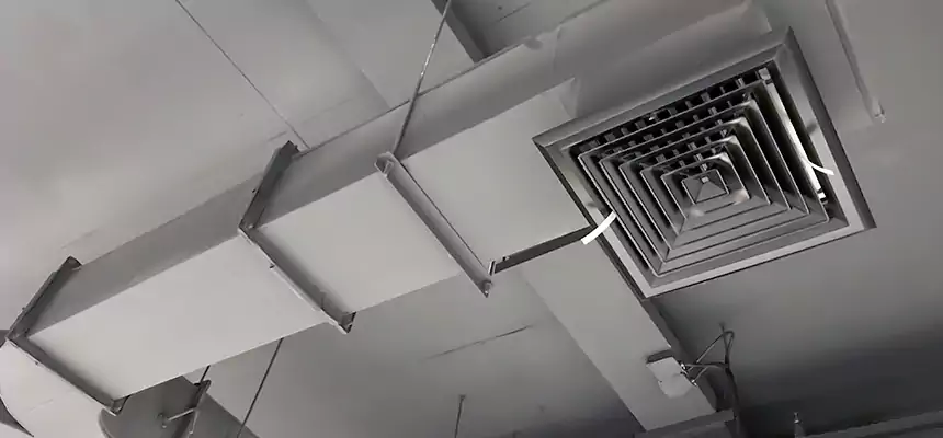 Restorative Allergy Relief Vent Cleaning – Coil, Blower & Housing Detail in Eugene