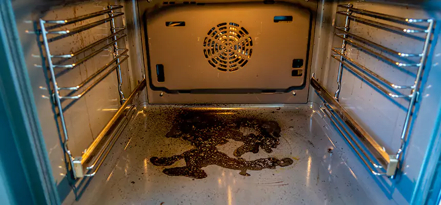 Our Dryer Vent Mold Cleaning Services in Eugene, OR