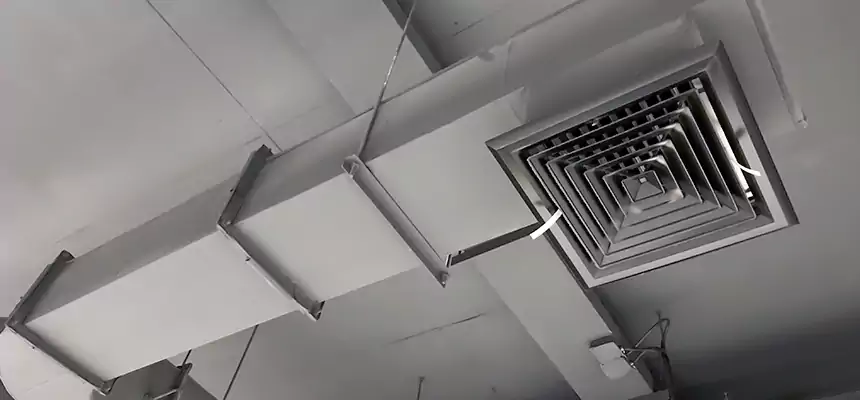 Our Pest Removal From Ducts Services in Eugene, OR