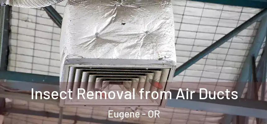  Insect Removal from Air Ducts Eugene - OR