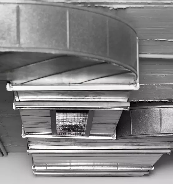 Professional Air Duct Pet Hair Removal in Eugene, OR