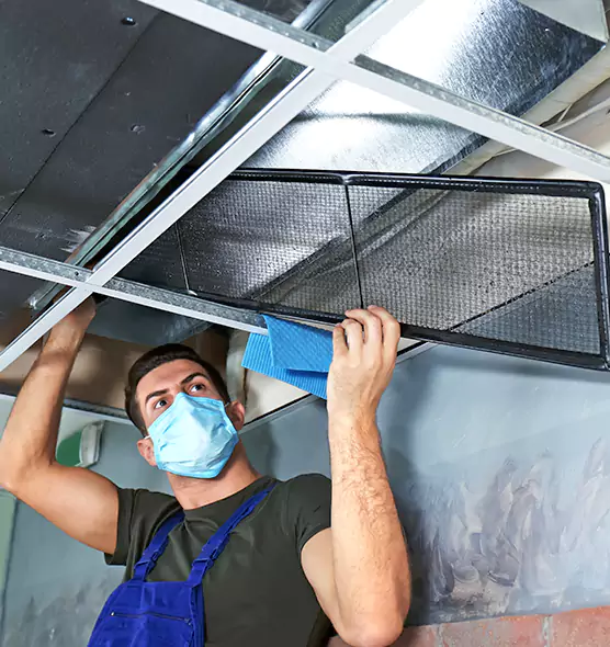 Professional Air Duct Pollen Cleaning in Eugene, OR