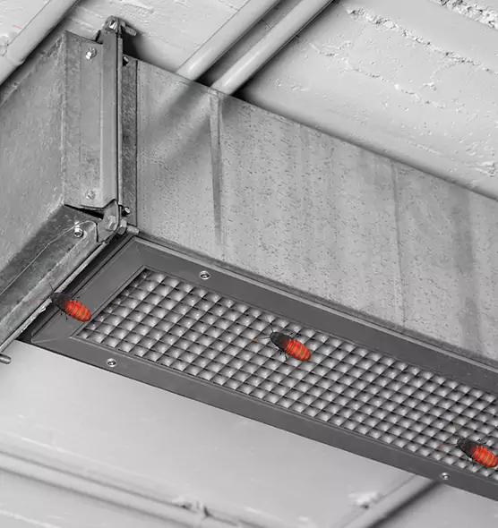 Affordable Insect Removal from Air Ducts in Eugene, OR