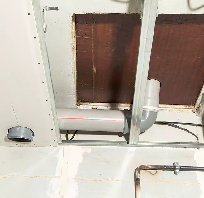 Why Homeowners & Businesses Trust Us in Eugene, OR?