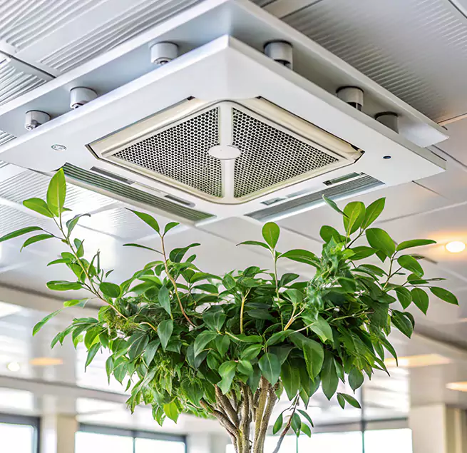 Why Homeowners & Businesses Trust Us in Eugene, OR?