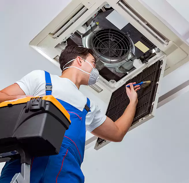 Why Homeowners & Businesses Trust Us in Eugene, OR?