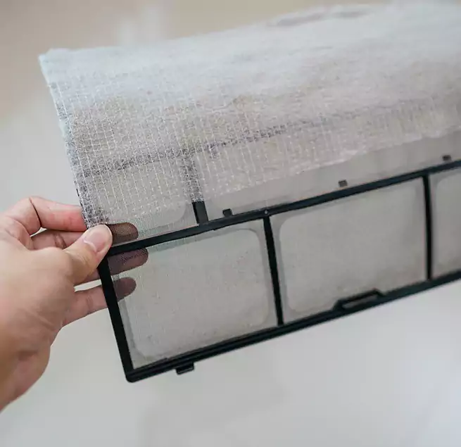 Why Homeowners & Businesses Trust Us in Eugene, OR?