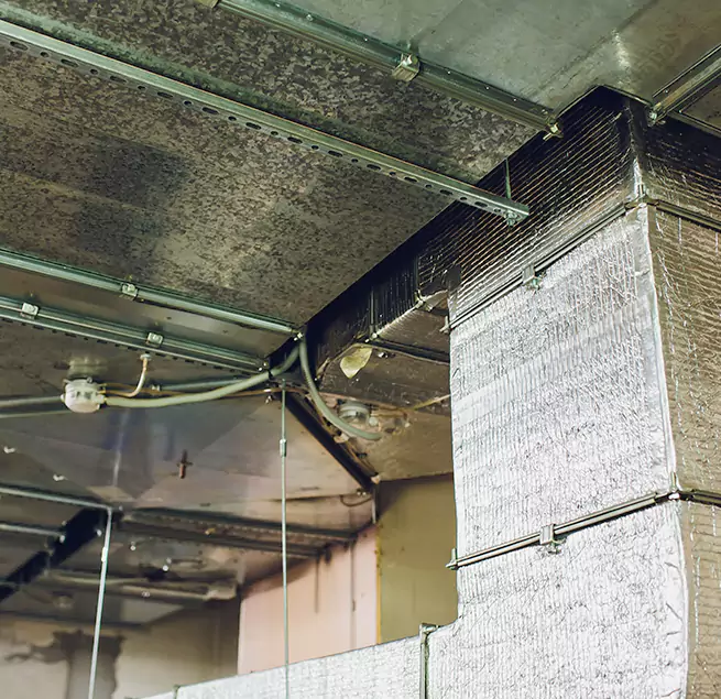 Why Homeowners & Businesses Trust Us in Eugene, OR?